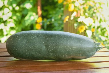 Olgun kabak, yazın bahçede, tahta bir masada yatıyor.