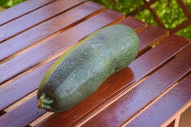 Olgun kabak, yazın bahçede, tahta bir masada yatıyor.