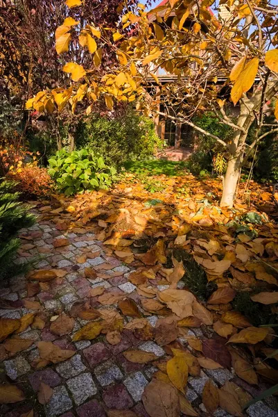 Garden Path Granite Covered Leaves Autumn — Stock Photo, Image