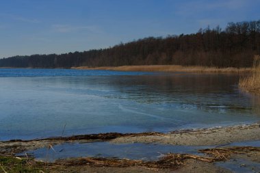 Güneşli bir kış gününde göl kıyısı buzla kaplıydı. 