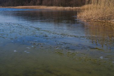 Güneşli bir kış gününde göl kıyısı buzla kaplıydı. 