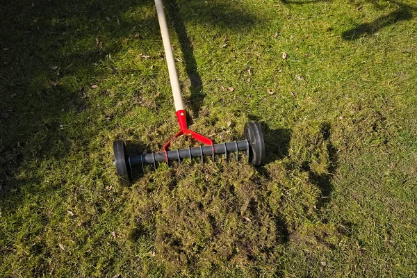 Bort Mossa Från Gräsmattan Med Hjälp Manuell Aerator — Stockfoto