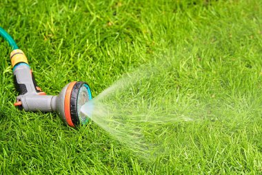 Çim sulama sistemi bir fıskiye kullanıyor.
