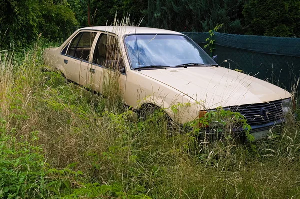 abandoned old car in high weeds