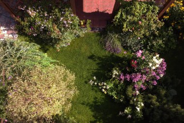 Garden in summer from a drone view