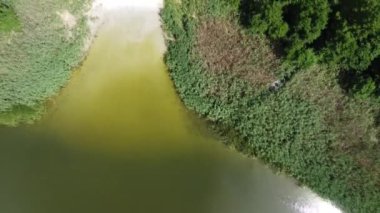 The lake shore in the summer from the drone view