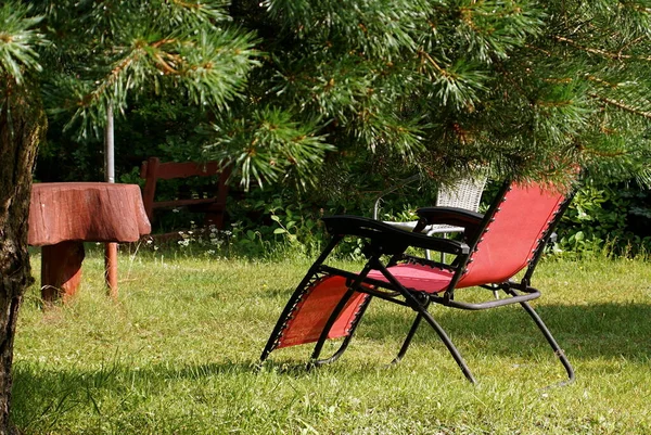 Red Sunbed Grass Garden Summer — Stockfoto