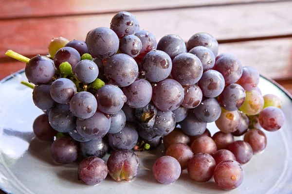 Grape Fruit Terrace Autumn — Stock Fotó