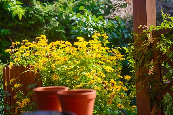 Maceta Plástico Verano Terraza —  Fotos de Stock