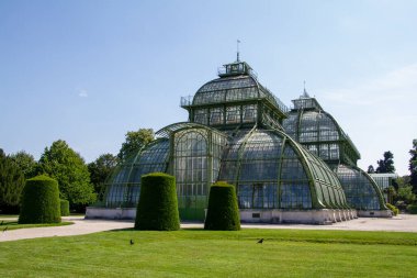 Viyana, Avusturya, 22 Temmuz 2021. Palmenhaus Schonbrunn dünyanın her yerinden gelen bitkilerle dolu büyük bir seradır. Toplamda dört sera var..