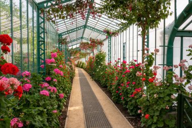 Brüksel, Belçika, 4 Mayıs 2022. Laeken Kraliyet Seraları, Laeken Kraliyet Kalesi. Klasik tarz seralar 1873 yılında Alphonse Balat tarafından tasarlandı. Çadırlar, kubbeler ve galerilerle birlikte..