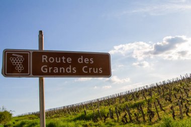 Nuits Saint Georges, Fransa, 15 Nisan 2022. Üzüm bağlarının önündeki Grands Crus Yolu 'nu gösteren bir tabela. The Route des Grands Crus Burgundy üzüm bağının en prestijli kısmından geçen bir yoldur.