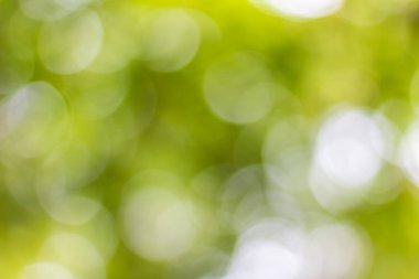 Yeşil arkaplanda soyut parlayan ışık.