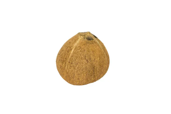Kokosové Ořechy Bílém Pozadí — Stock fotografie