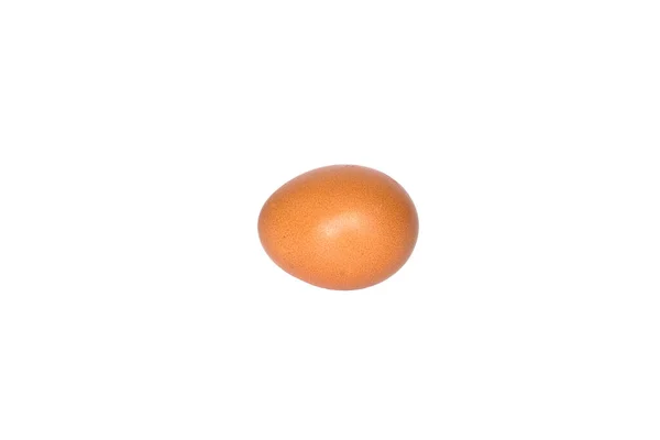 Huevo Sobre Fondo Blanco Aislado — Foto de Stock