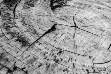 Ahşap dokuyu kapat.