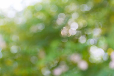 Soyut doğal bokeh arkaplan, bulanık bokeh.