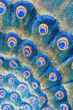 Tüylü tavus kuşu heykelini arka plan kullanımı için kapat.