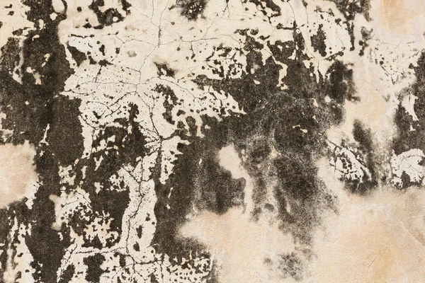 Крупный План Текстура Грубого Камня — стоковое фото