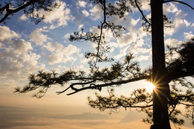 Phukradung Ulusal Parkı 'nda gün doğumu, Tayland.