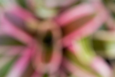 soyut doğal renkli arkaplan.