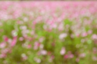 soyut doğal renkli arkaplan.