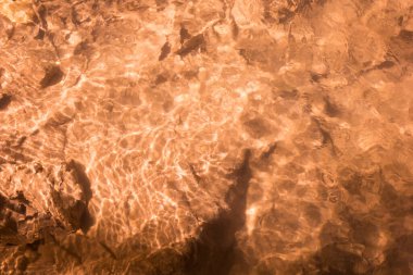 Arka plan için soyut su Güz.