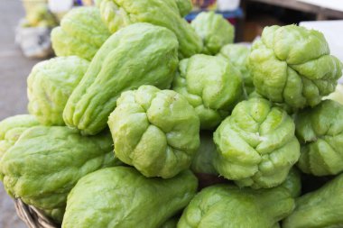 Taze şiltenin yakın çekimi..