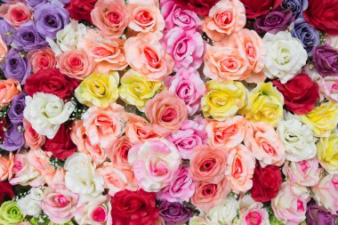 arka plan için güzel yapay güller.