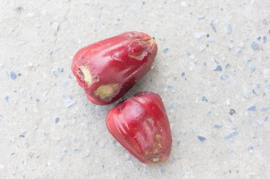 Grunge arka planında çürük elma.