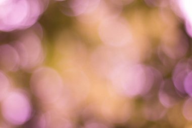 Soyut doğal bokeh arkaplan, bulanık bokeh.
