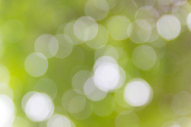 Soyut doğal bokeh arkaplan, bulanık bokeh.