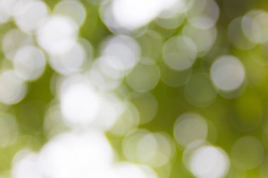 Soyut doğal bokeh arkaplan, bulanık bokeh.