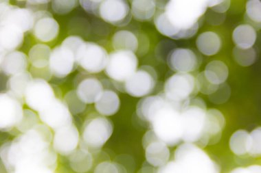 Soyut doğal bokeh arkaplan, bulanık bokeh.