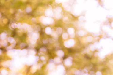 Soyut doğal bokeh arkaplan, bulanık bokeh.