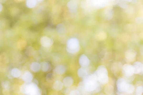 Soyut doğal bokeh arkaplan, bulanık bokeh.