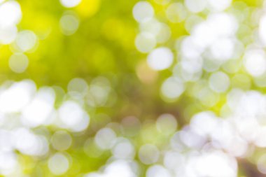 Soyut doğal bokeh arkaplan, bulanık bokeh.