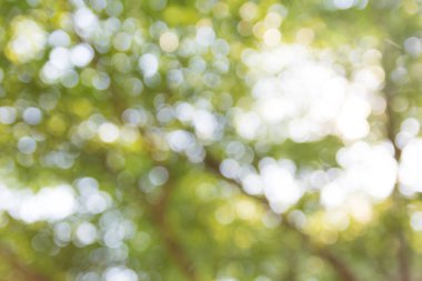 Soyut doğal bokeh arkaplan, bulanık bokeh.
