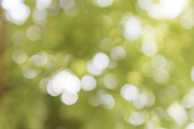 Soyut doğal bokeh arkaplan, bulanık bokeh.