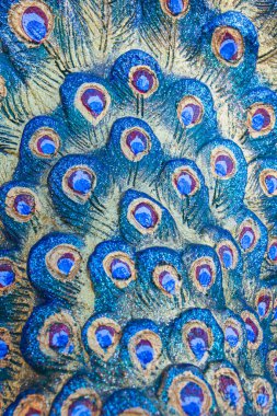 Tüylü tavus kuşu heykelini arka plan kullanımı için kapat.