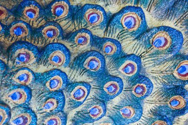 Tüylü tavus kuşu heykelini arka plan kullanımı için kapat.