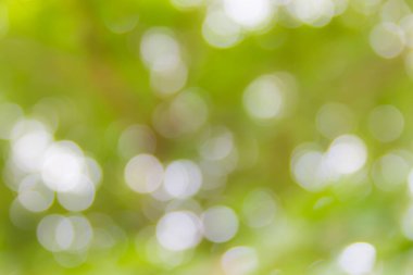 Doğal bokeh arkaplan, bulanık bokeh.