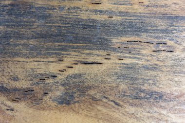 Grunge ahşap dokusu, arka plan olarak kullanılmak üzere kapat.