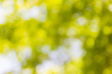 Soyut doğal bokeh arkaplan, bulanık bokeh.