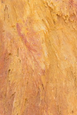 Taşlaşmış Ahşap Doku Arkaplanı, Kapatın.