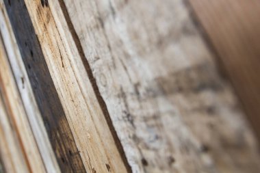 Ahşap Arkaplan Dokusunu kapat.