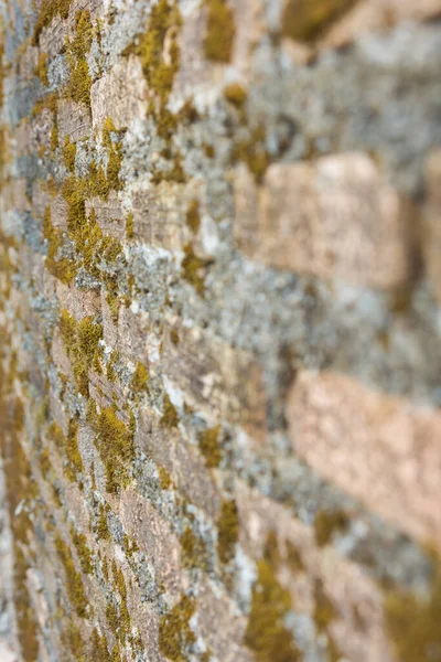 Achtergrond Van Baksteen Muur Textuur — Stockfoto