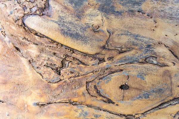 Grunge ahşap dokusu, arka plan olarak kullanılmak üzere kapat.