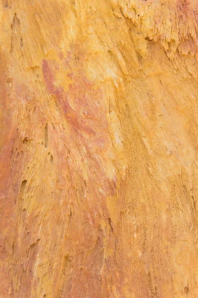石化木质部背景 — 图库照片