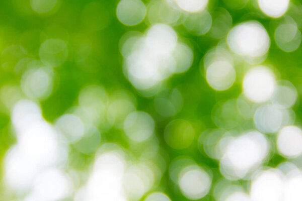 Естественный боке фон, размытый боке.